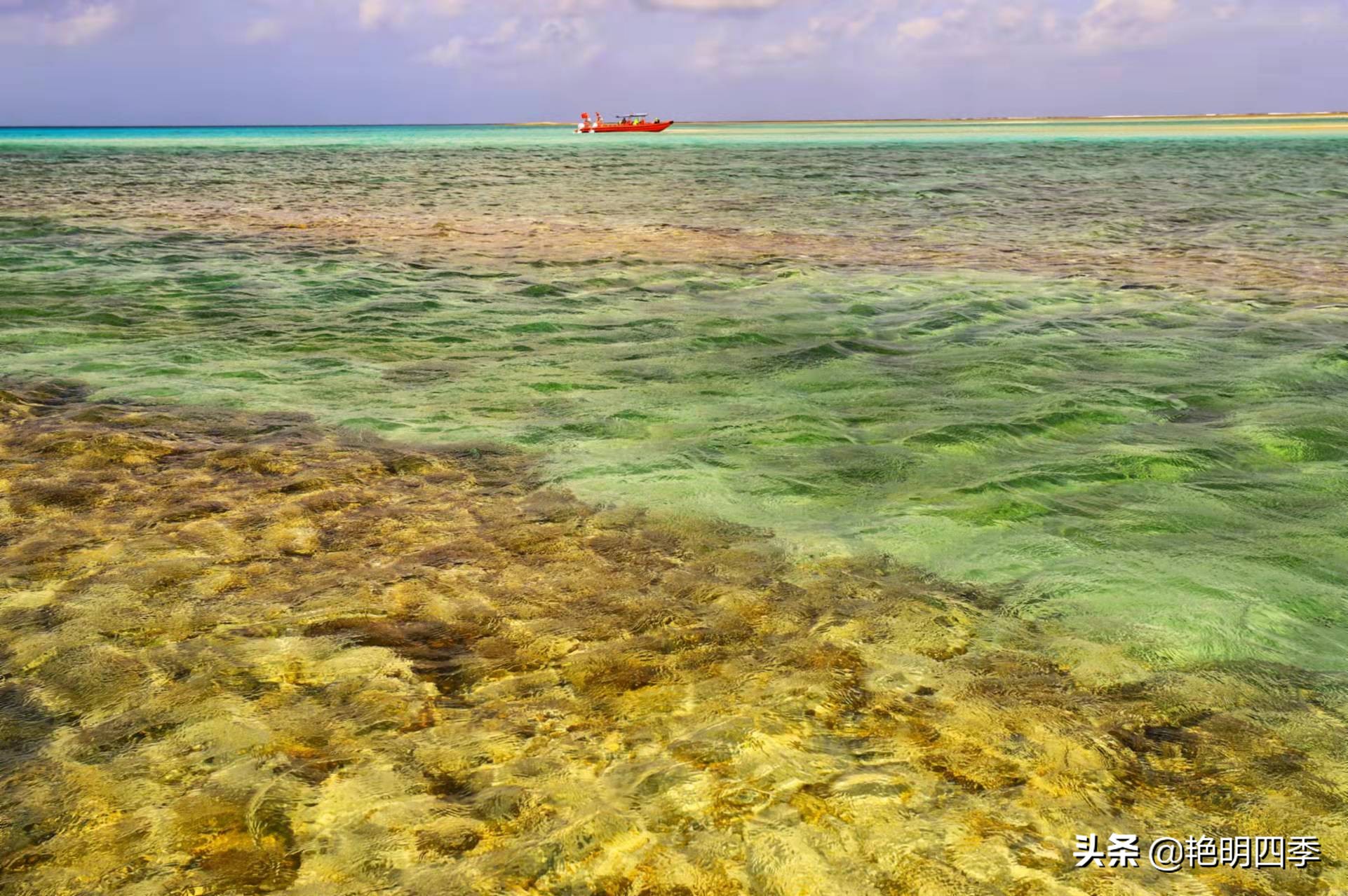 西沙群岛南海之梦游轮,西沙群岛南海之梦游轮视频