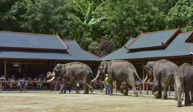 西双版纳冬季适合玩几天,西双版纳适合一年四季居住吗