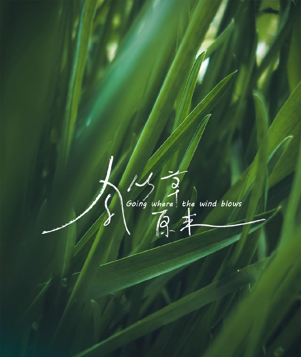 适合露营的草原,推荐6个最适合露营的旅行地