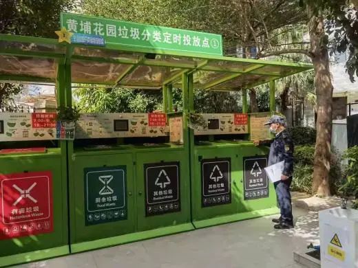 黄埔｜垃圾不落地，黄埔花园社区又变美了