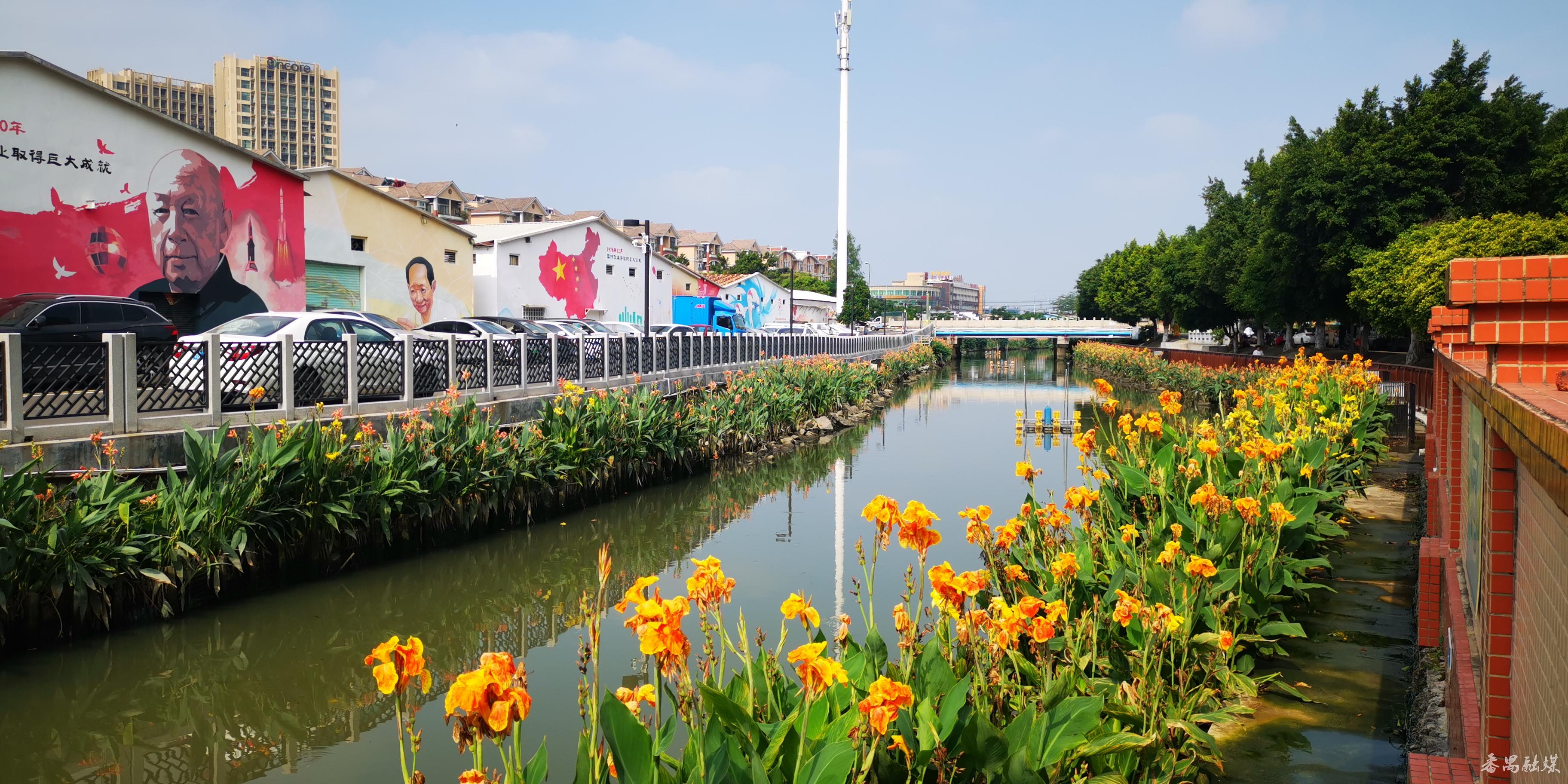 一脉碧水,两岸碧道!番禺钟村街胜石河周边美翻了