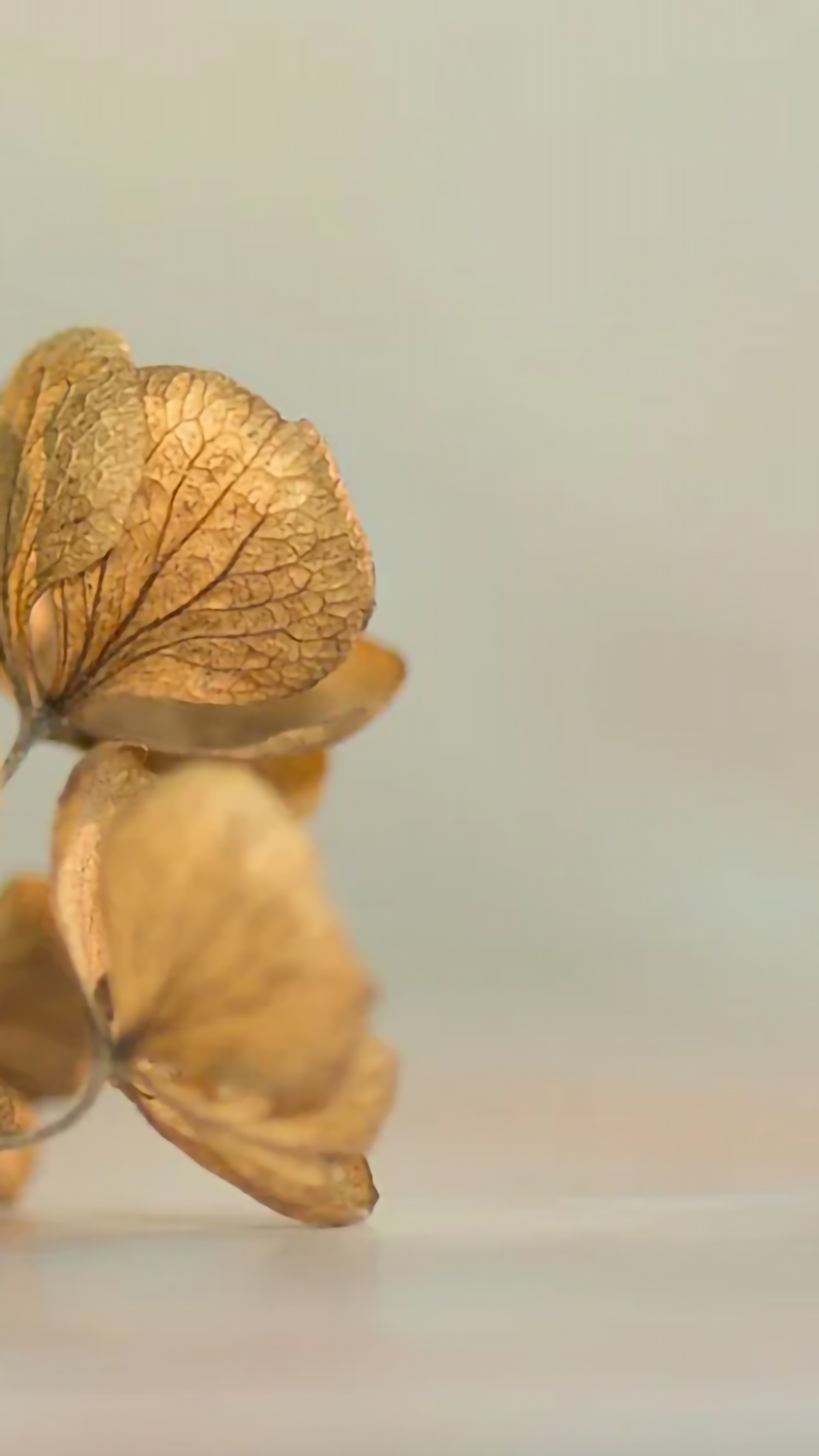 好看的手机桌面壁纸和锁屏壁纸,总有一张壁纸适合你手机屏保精选