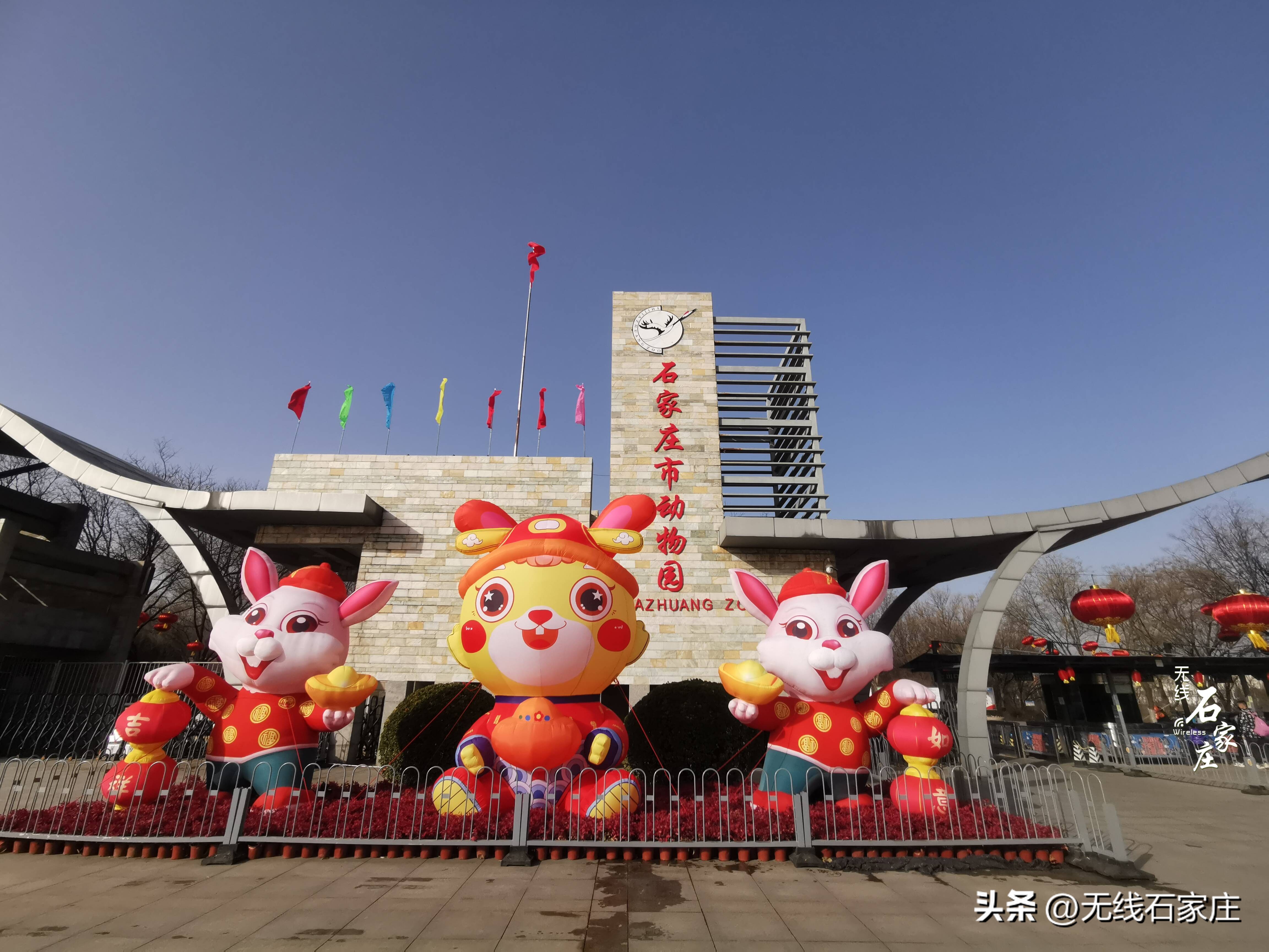 2022年石家庄动物园春节活动,石家庄动物园元宵节