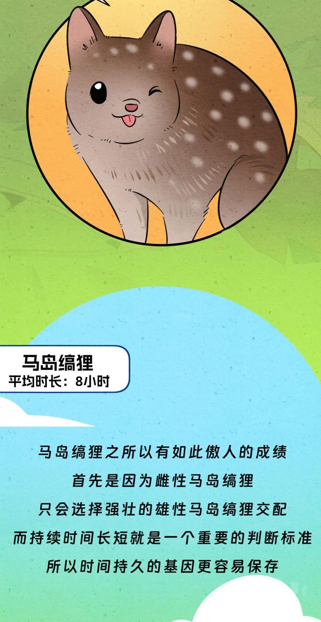 动物交配行为鉴赏，真的触碰到了我的知识盲区（漫画）