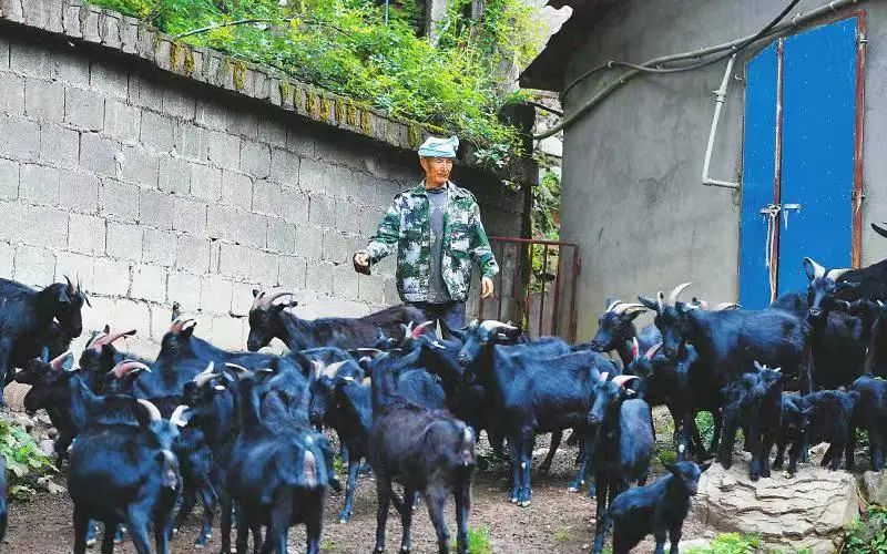 昭觉美姑,美姑路况