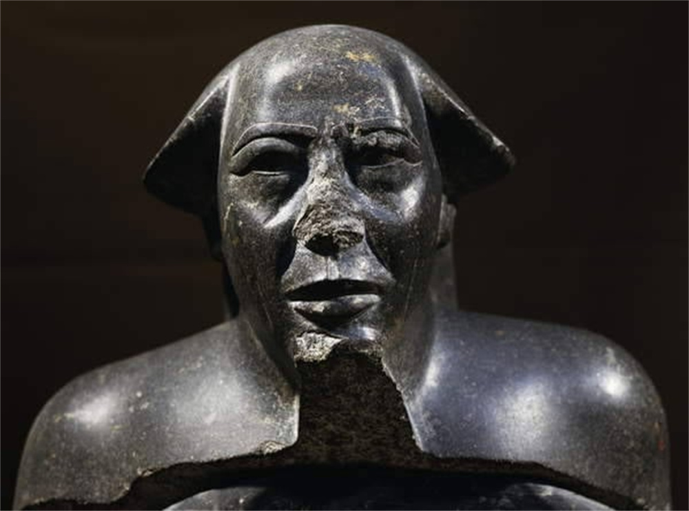 加蓬黑脸猩猩,加蓬长尾猴图片