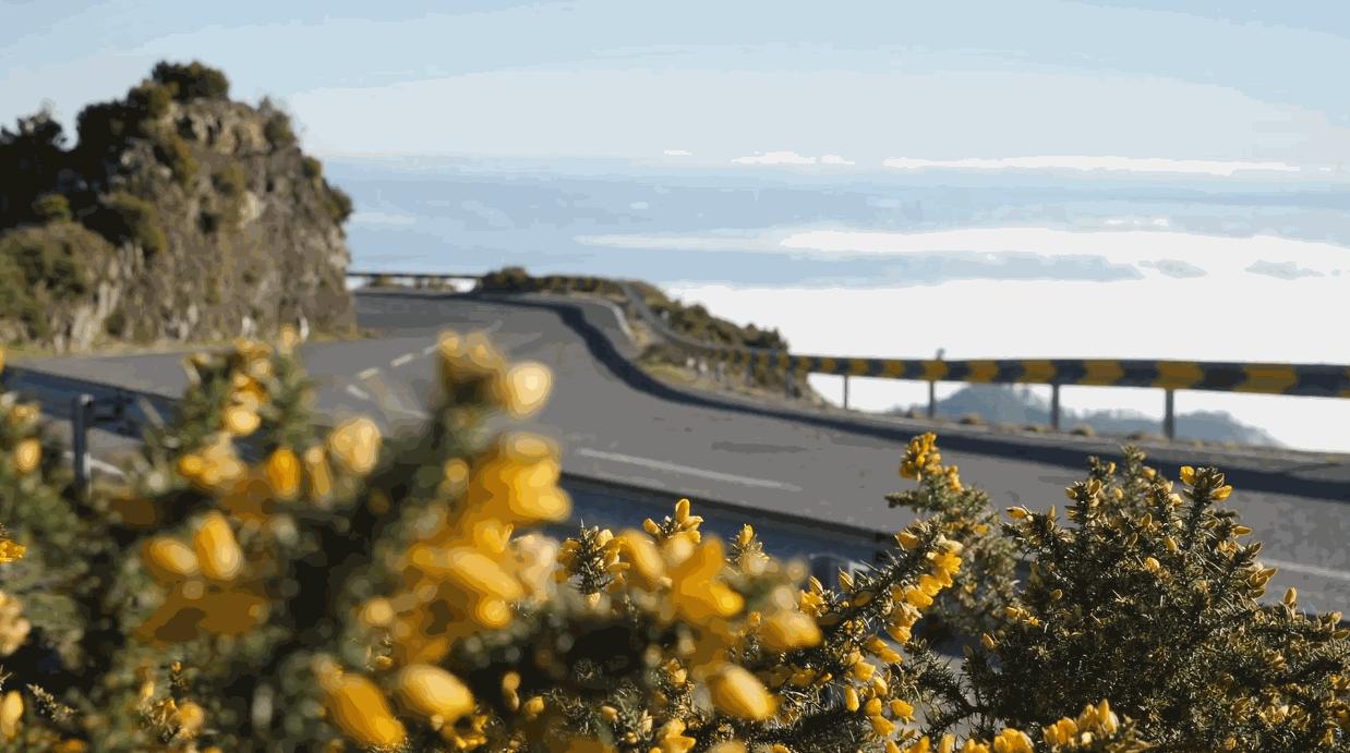 想做影视剪辑,动漫情感视频剪辑素材