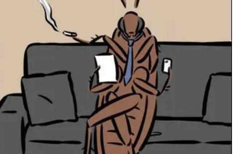 厨房有蟑螂怎样才能彻底消灭干净,如何消灭蟑螂最快最有效的方法