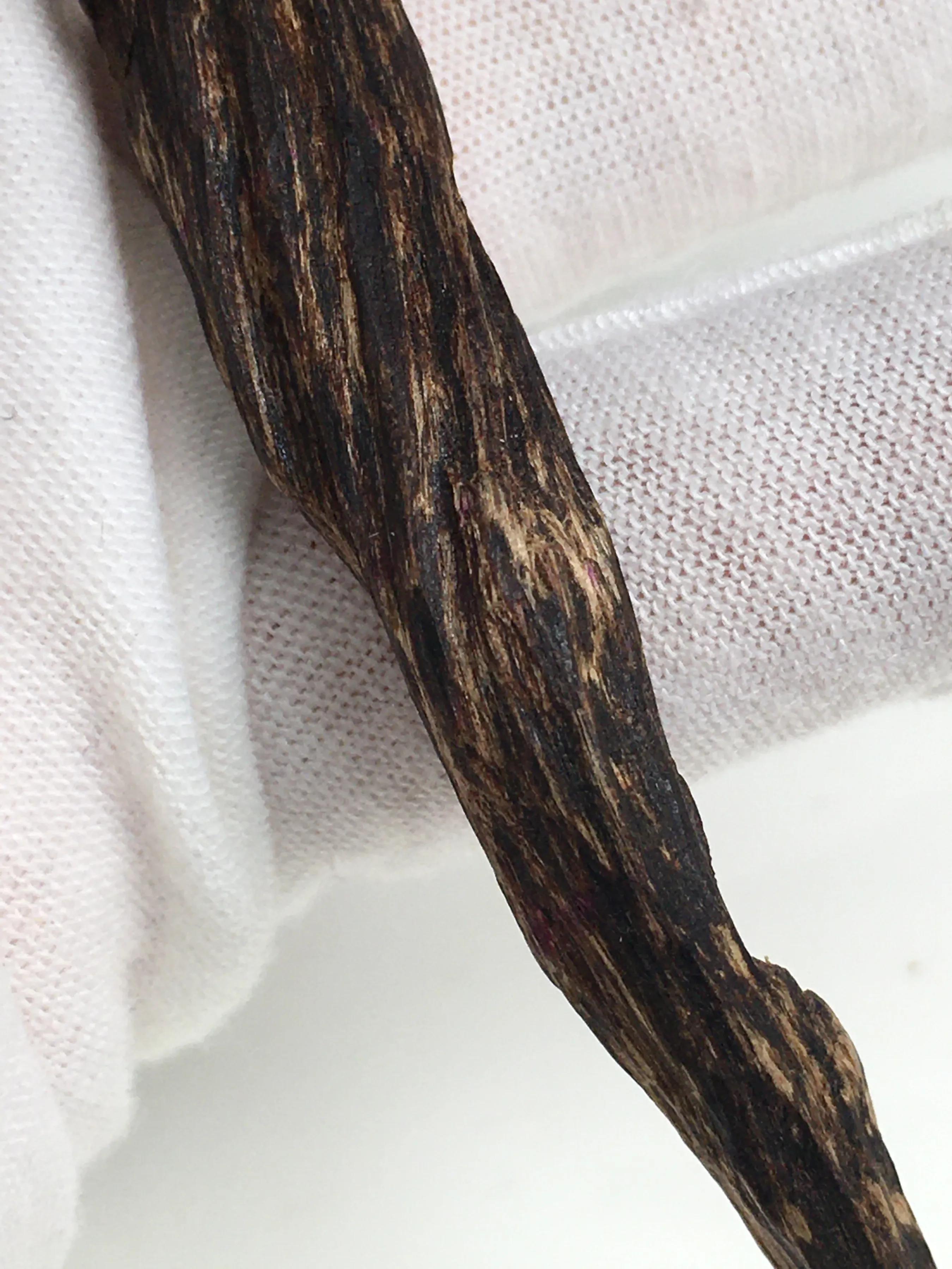 香港沉香属于星洲不,香港与沉香的关系