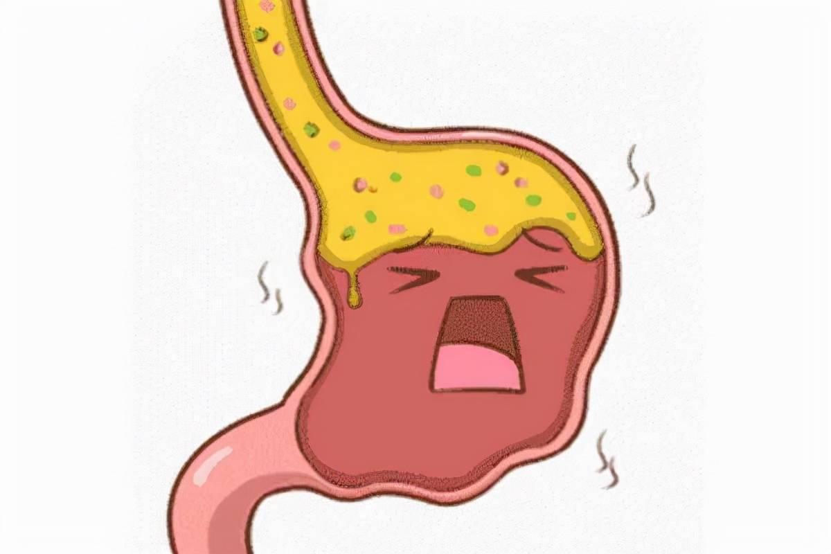 吃什么水果养胃保护胃粘膜,保护胃黏膜的菜和水果有哪些