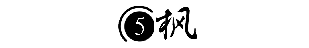 08年,河北女孩“瘫痪”卧床20年,姐姐安上监控后,戳穿多年*局骗**
