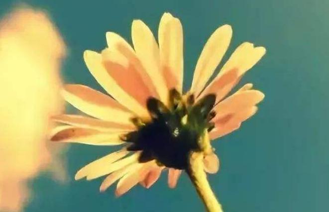 面对瞧不起你的人视频,对待瞧不起你的人怎么回击