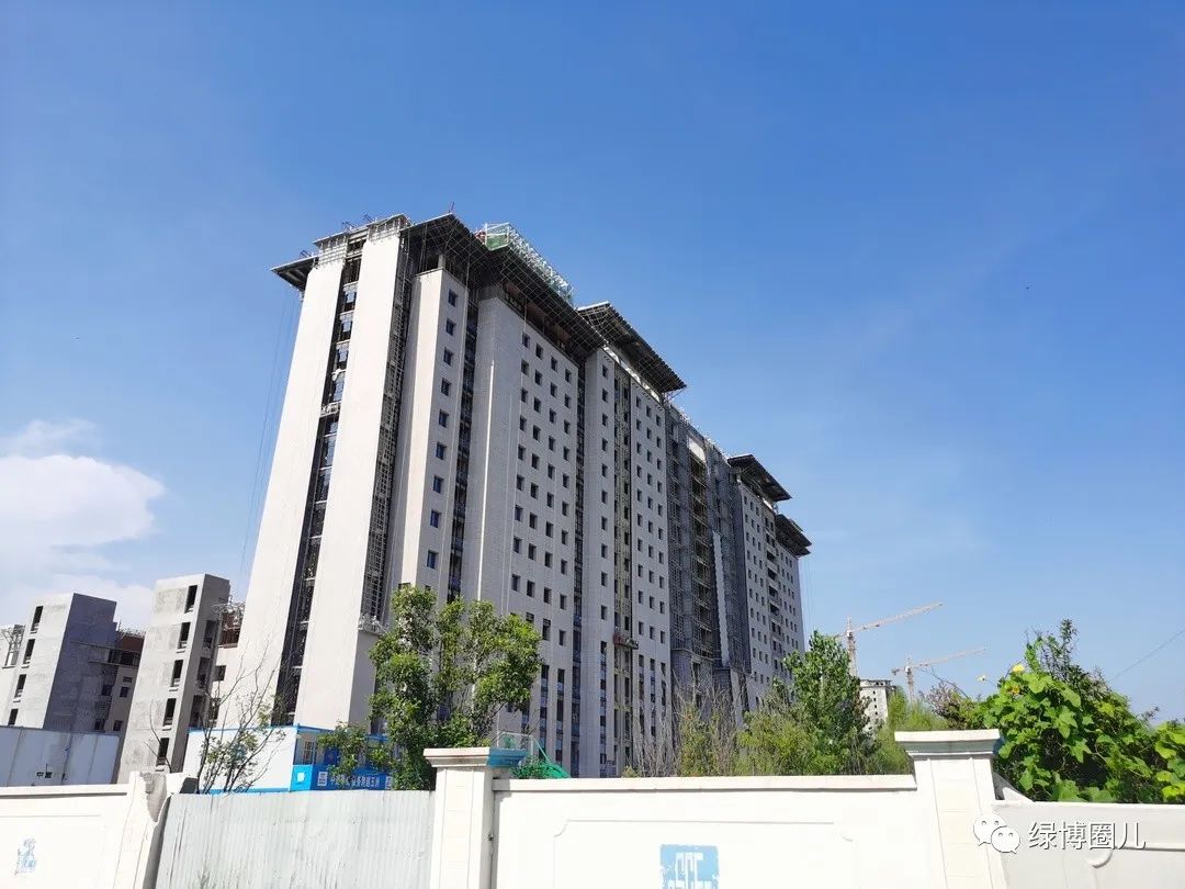 郑大三附院郑州分院,郑大三附院最新消息