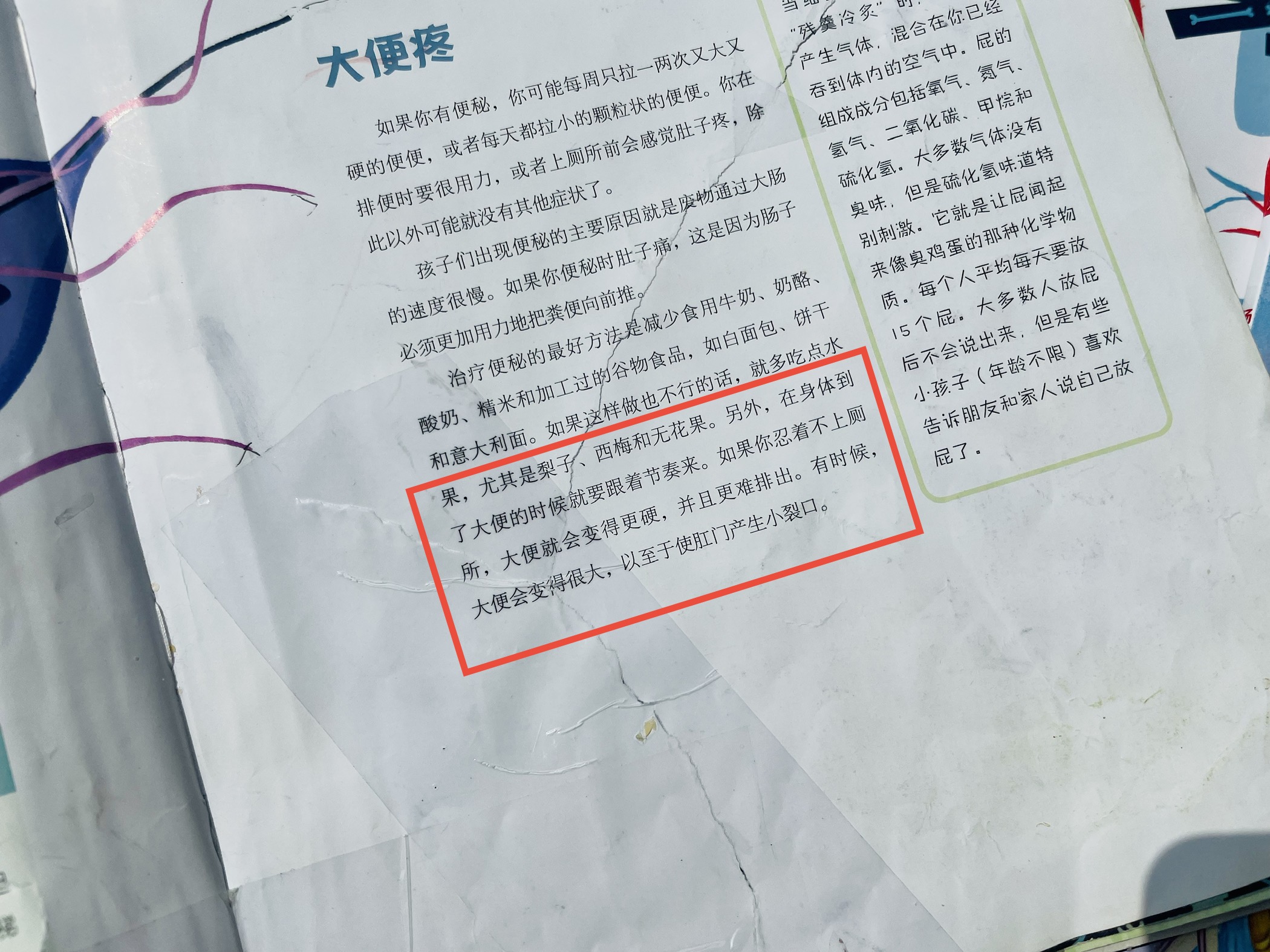 三岁的孩子不愿意在马桶拉便便,孩子8岁死活不在马桶上大便