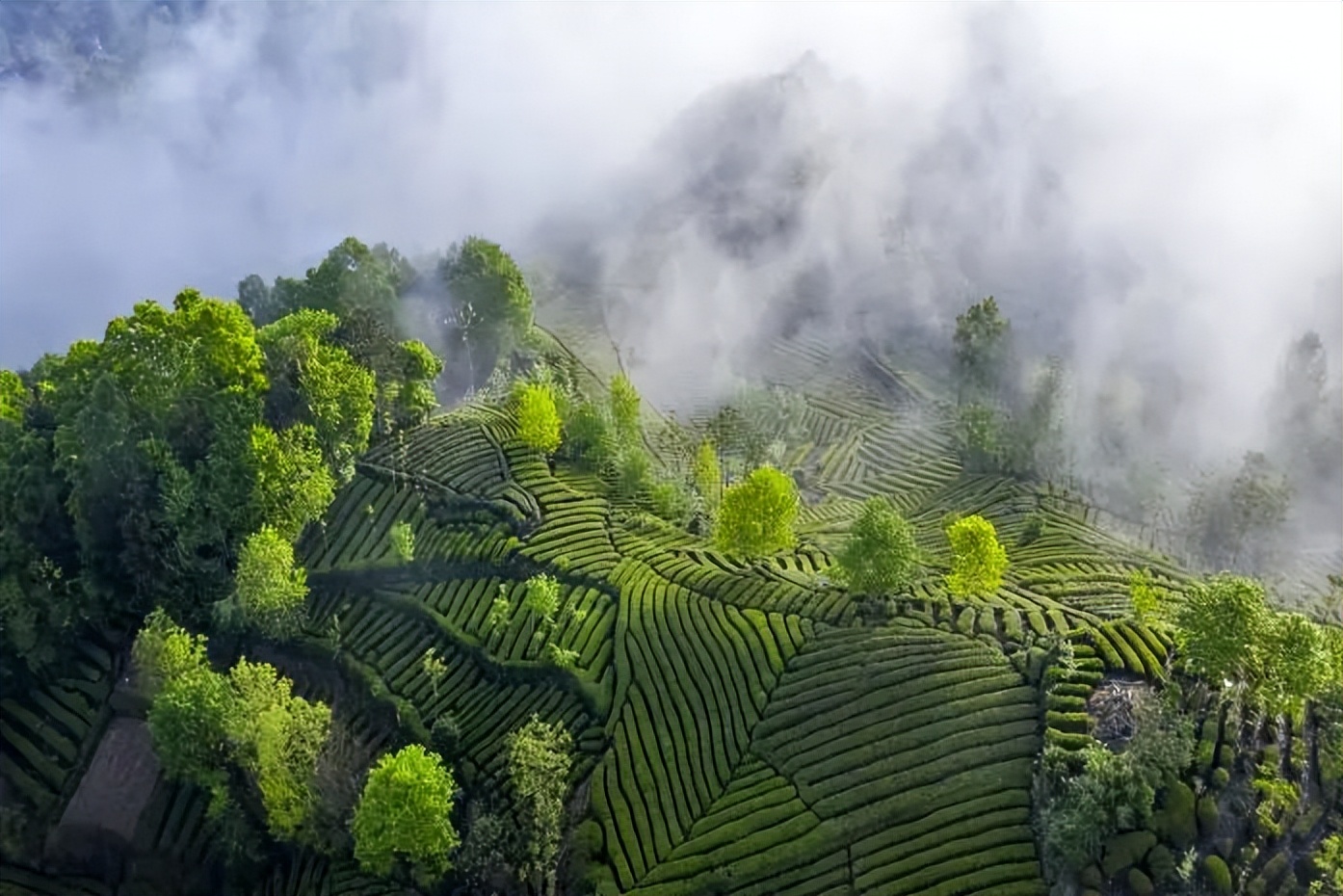 夏天游玩路线,夏天旅游最佳路线推荐