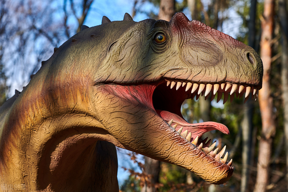 地球的诞生科普,地球的诞生讲解