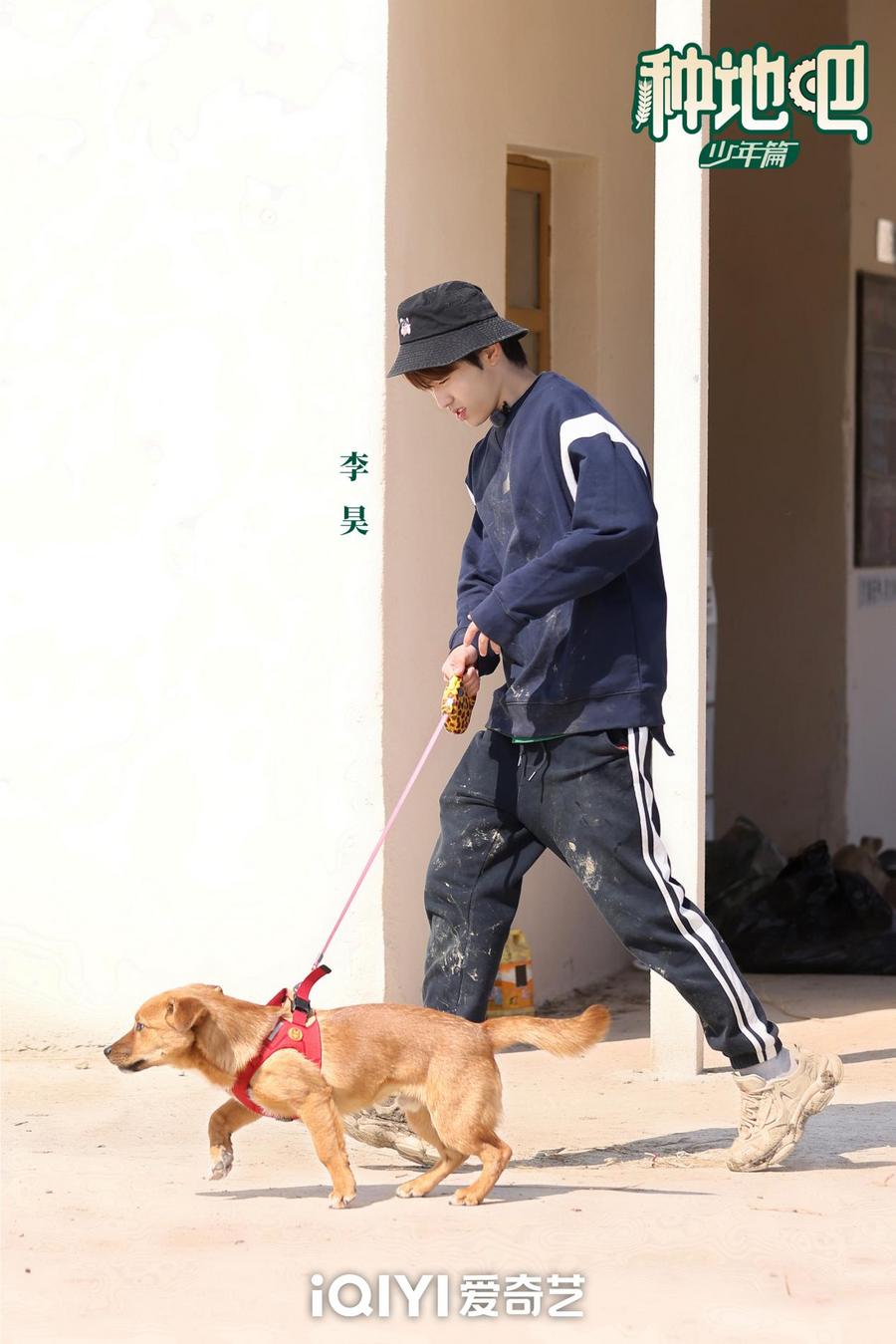 种地吧成长的阵痛完整版,种地吧水稻成长历程