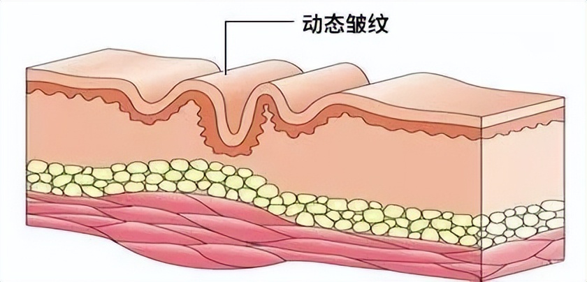 国外大牌成“上门女婿”，这些国货集团出息咯！