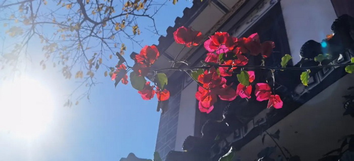 中国旅游短视频开拓者王国平，开创旅游线路短视频订购模式和美学风格及拍摄技巧