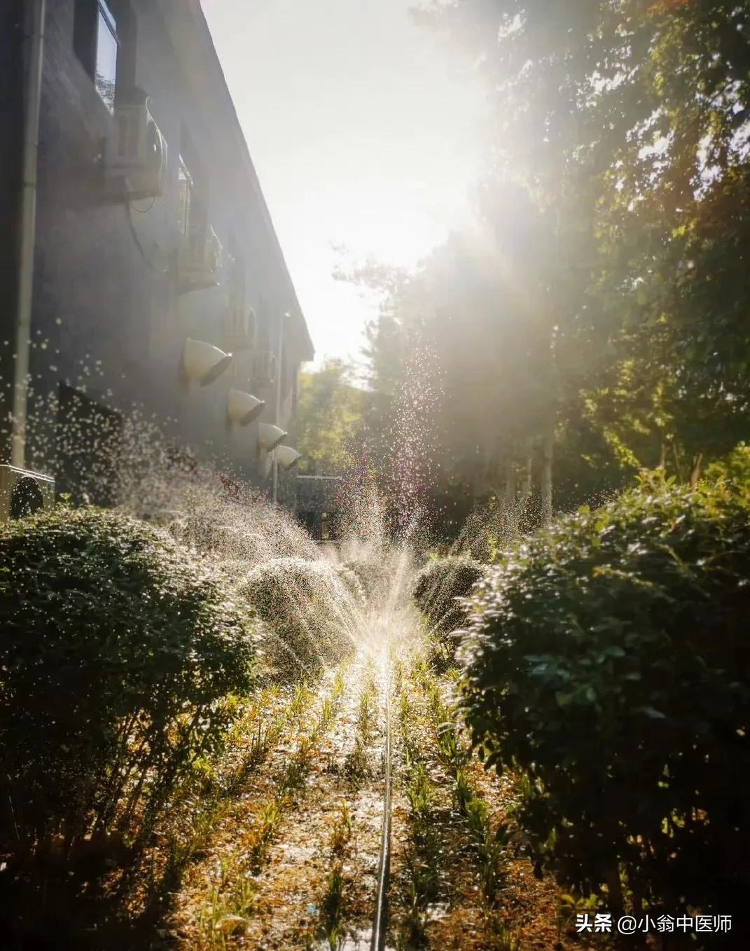 祛湿7大手法,祛湿和去湿的区别