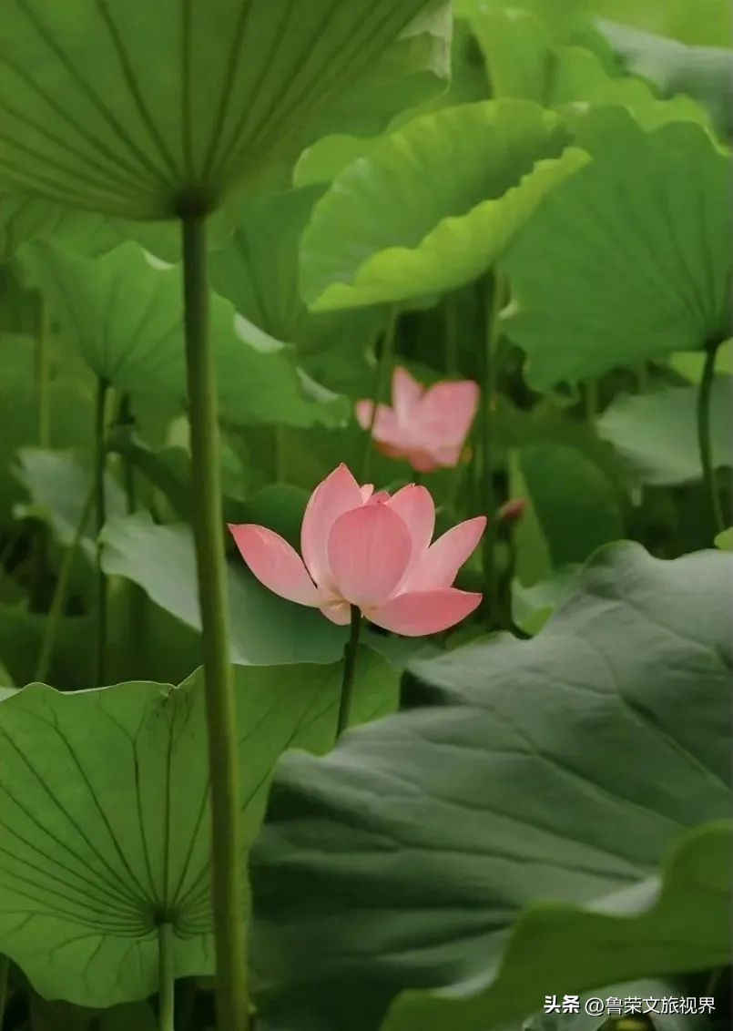西安旅游攻略大全坐地铁,西安地铁旅游攻略三日游
