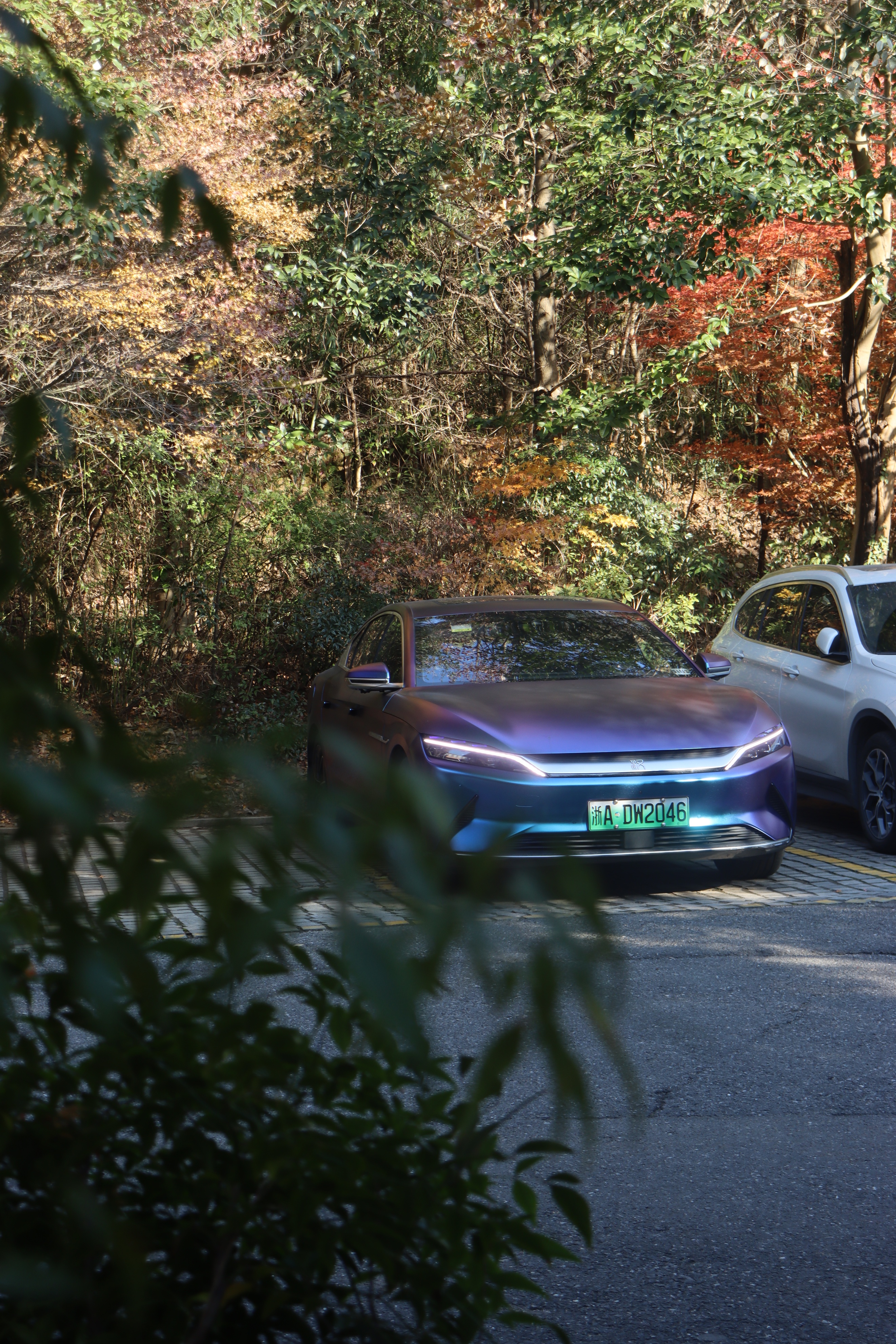 美食荒漠杭州,北京杭州美食荒漠