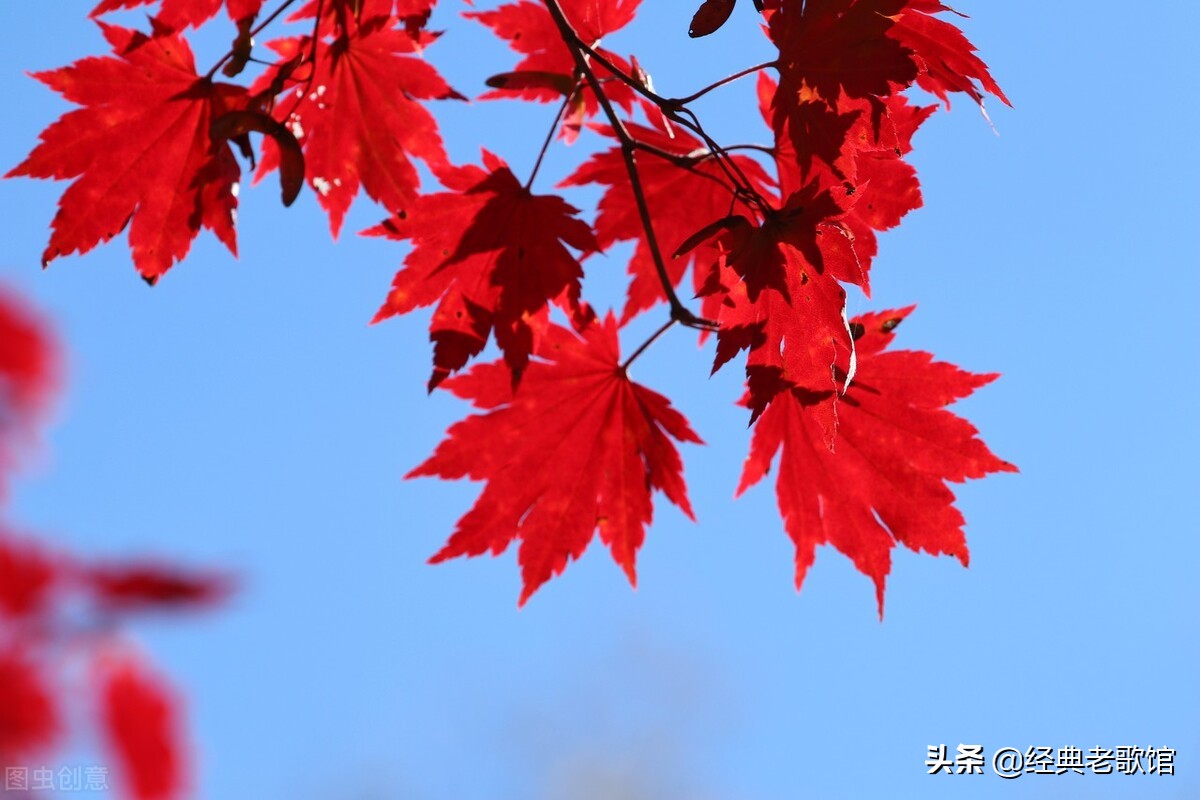 一个小事不计较大事讲原则的人,人生大事不糊涂小事不计较的原则