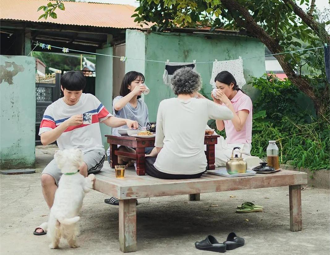 三得利低糖乌龙茶18瓶,三得利乌龙茶和买的乌龙茶一样