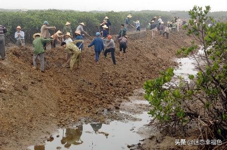 福建一工地挖出“冬眠”蟒蛇,一工地挖出“冬眠”蟒蛇