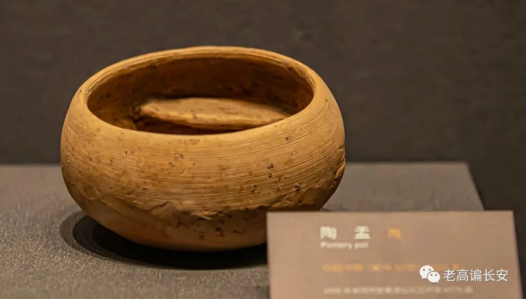 假期参观陕西考古博物馆,陕西考古博物馆开馆直播