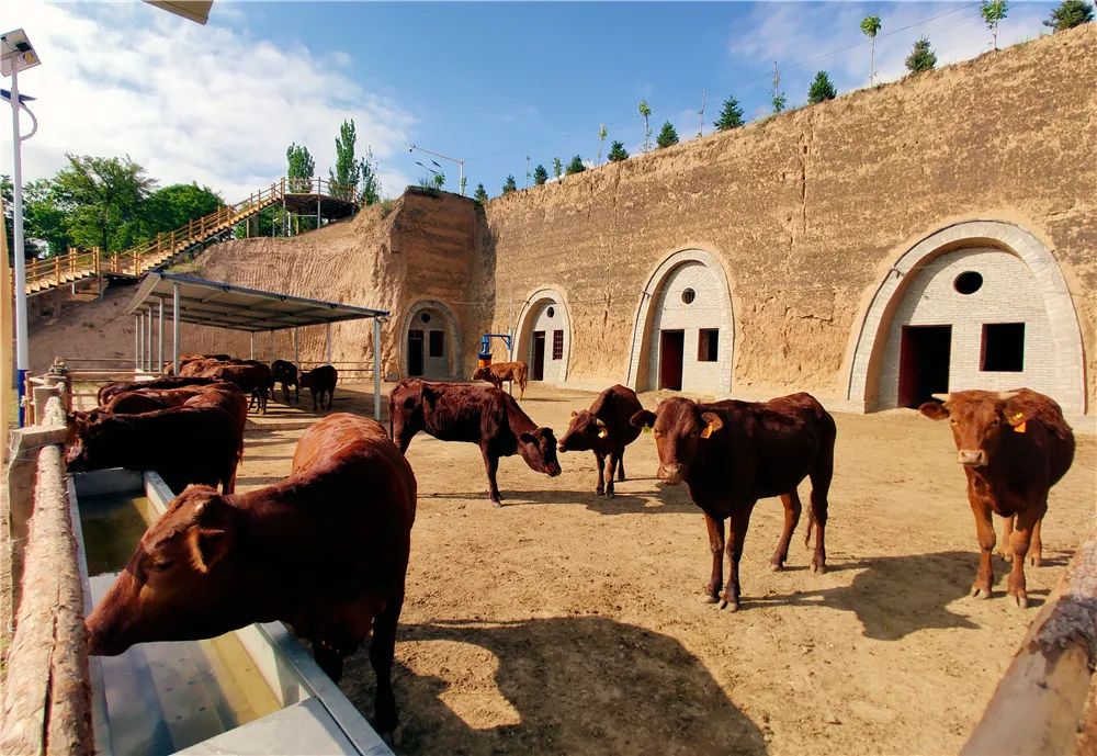 大美崇信，诚信之城欢迎您！