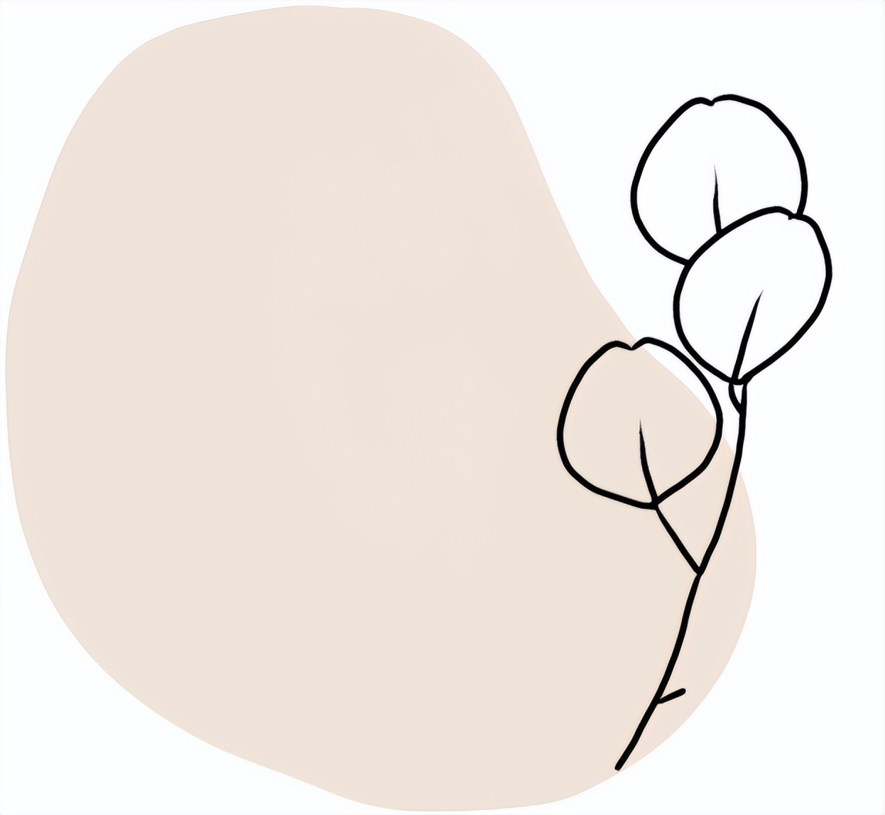 瓦科艺术涂料多少钱一平,瓦科艺术涂料柳州门店地址