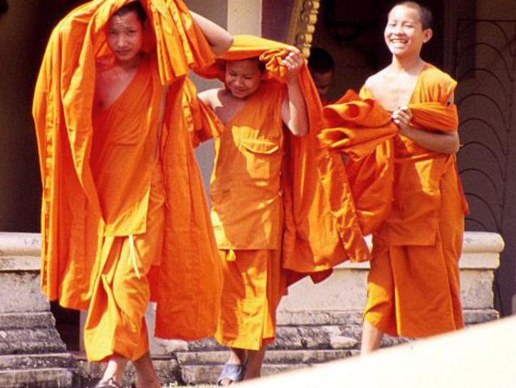 为什么藏红花有贵有便宜,藏红花是智商税还是真的有用