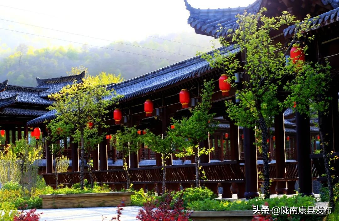 “天然氧吧•诗意阳坝”文学采风活动暨陇南市诗歌学会第二届年会交流发言摘要