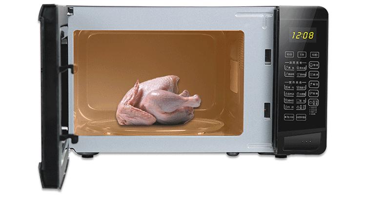 微波炉里飞进去一只苍蝇,当苍蝇飞进微波炉