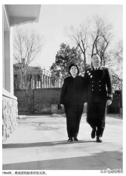 我军三杨,解放军中的三杨