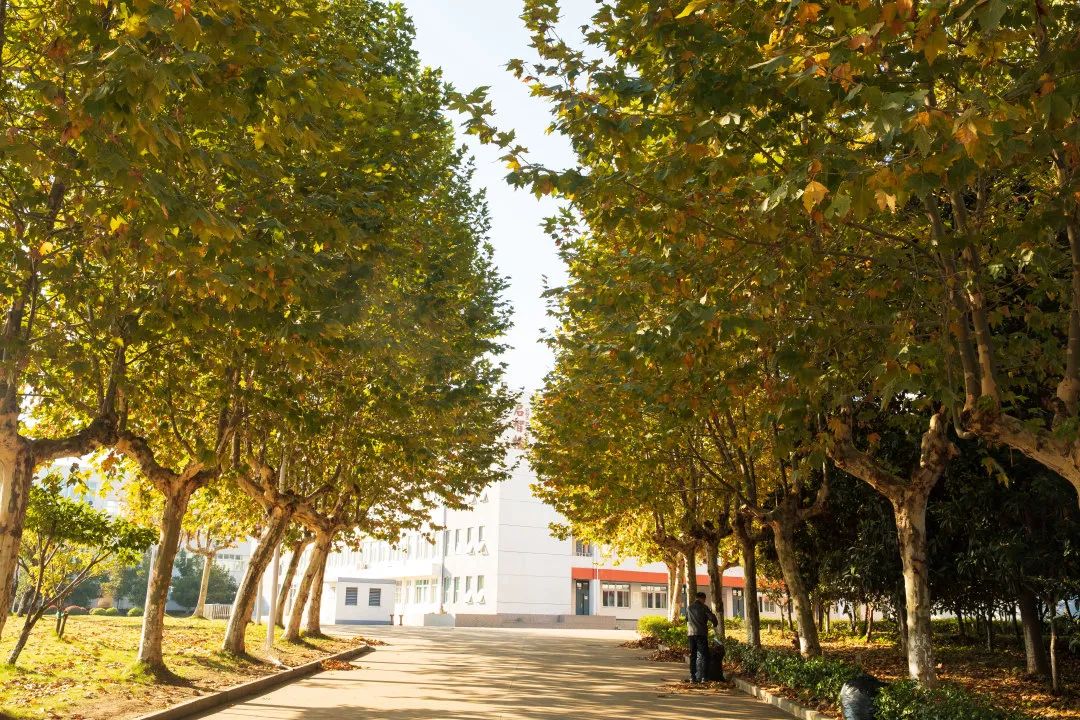 梦想开始的地方适合毕业典礼吗,二七一教育集团南京宇通实验学校