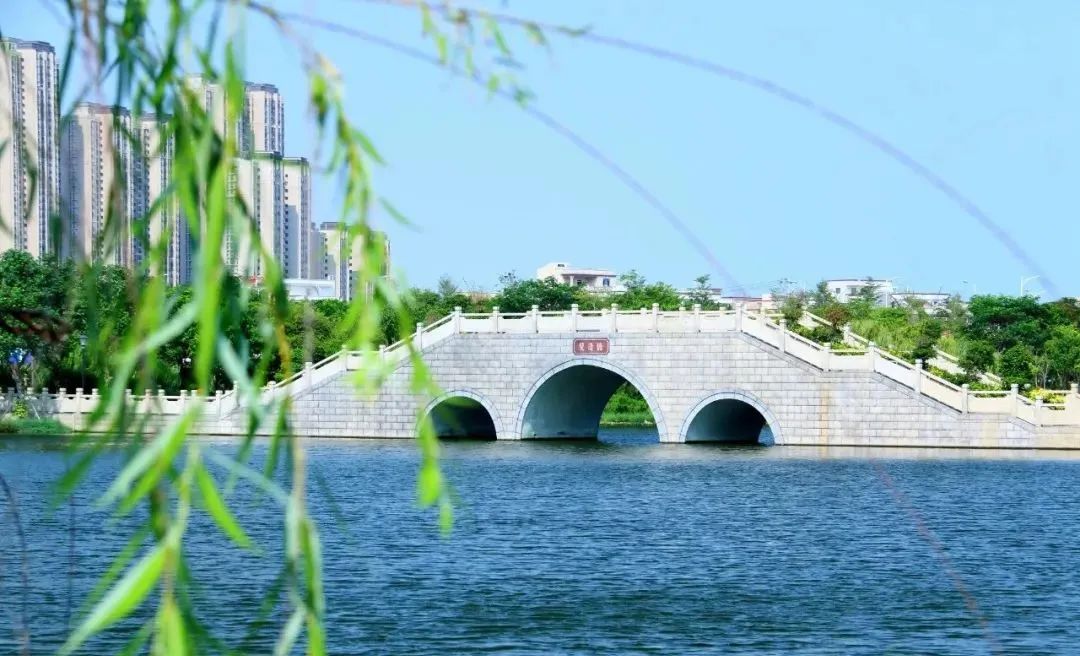 厦门开禾路海鲜推荐,厦门海鲜在哪个港口买便宜