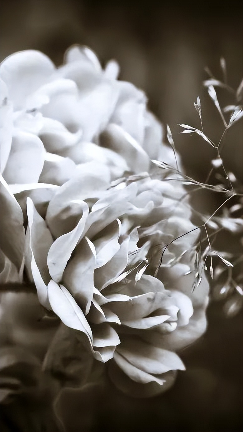 黑暗系的壁纸文字,黑暗色系的壁纸