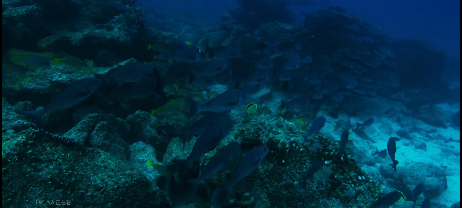 苹果vr什么时候发布,goovisg3maxvr头显发布