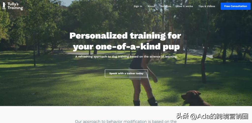 独立站卖家面临的挑战,独立站卖家如何脱颖而出