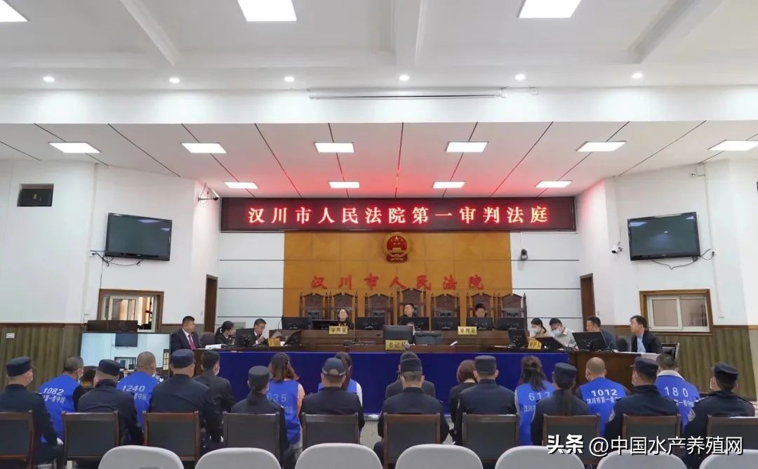 养殖户的十大骗局,养殖户的骗局有哪些案例