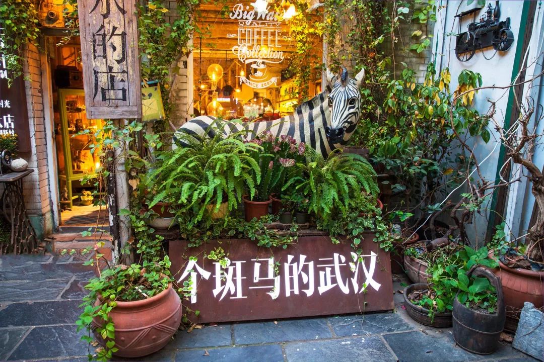 武汉与南京城市哪个漂亮,武汉和其他城市对比