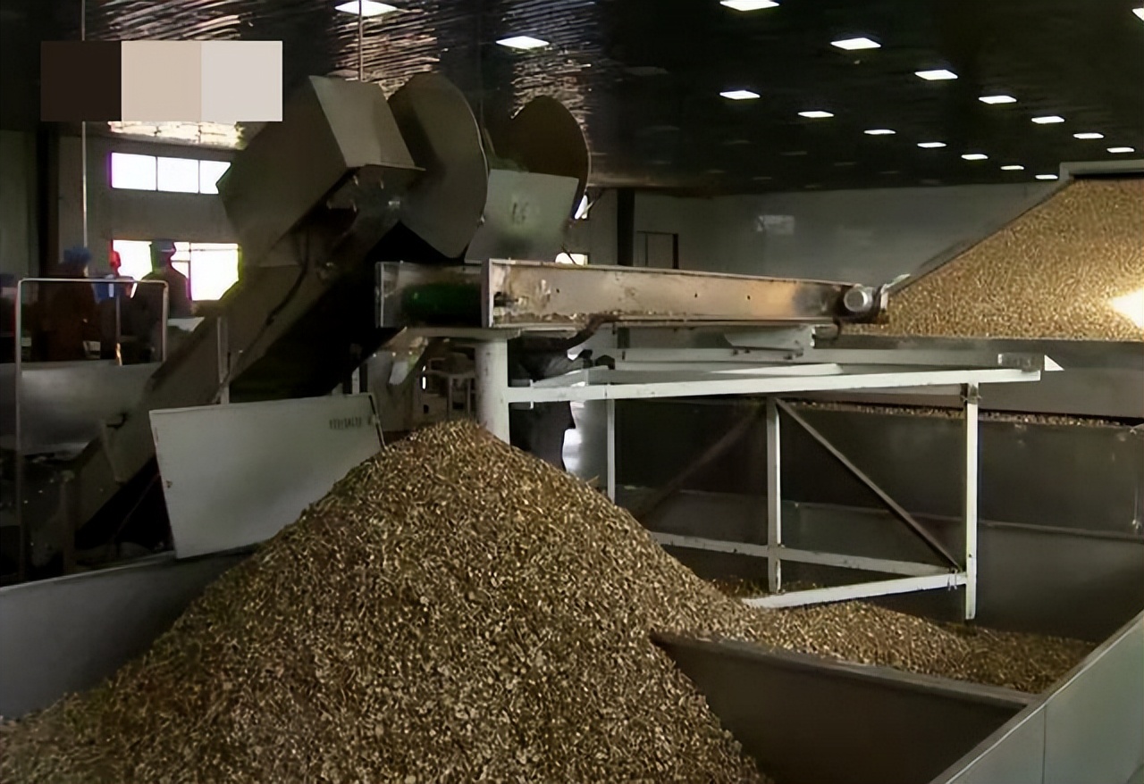 甘肃女子变卖家产花千万开发沙漠,女子砸千万家产完整版