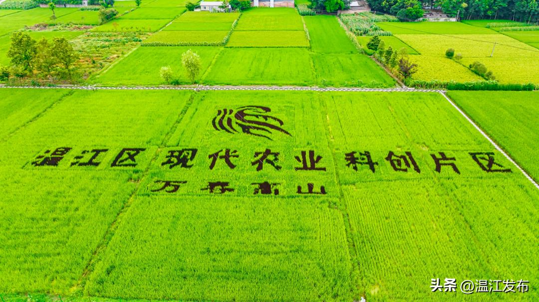 温江农业科技园区杭州推介,温江国家农业科技园区成立时间