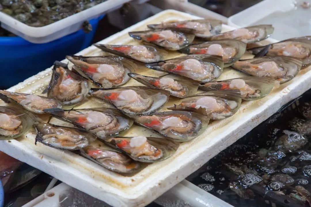 这座海滨小城可真美丽,小众旅行海边小城市