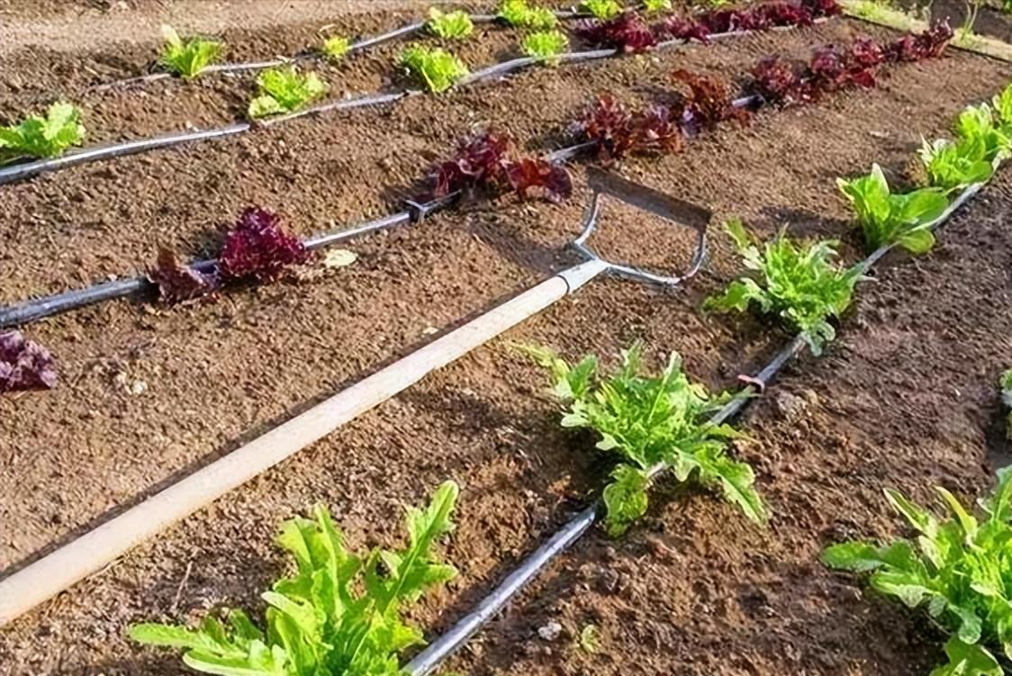 微咸水开发利用情况汇报,反渗透水处理数据分析