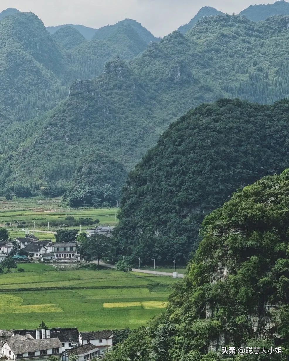 贵州兴义万峰林油菜花盛开时期,贵州兴义风景区万峰林