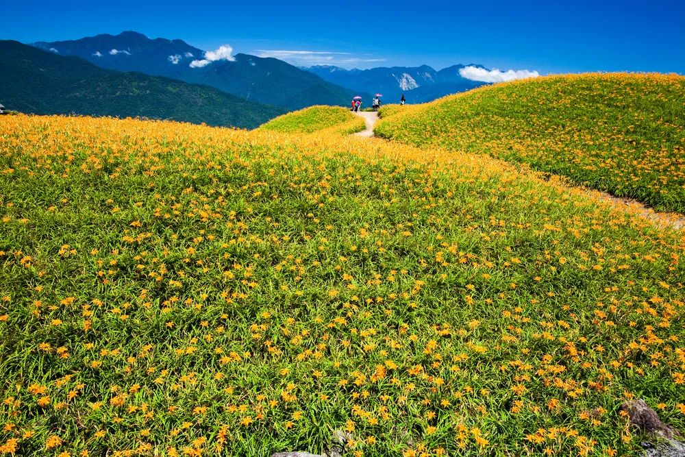 台湾全景图高清版,航拍台湾的整个面貌
