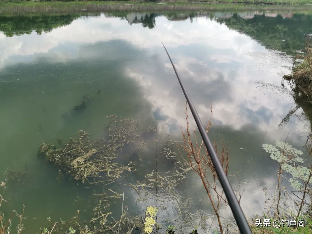 新手怎么能快速钓到鱼,新手怎样才能钓到鱼